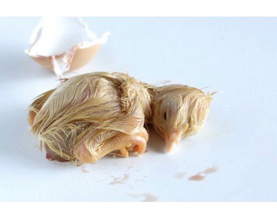 “三亿体育”《恶魔城》动画第二季什么时候播出 居然延期了(图2) 三亿体育官网