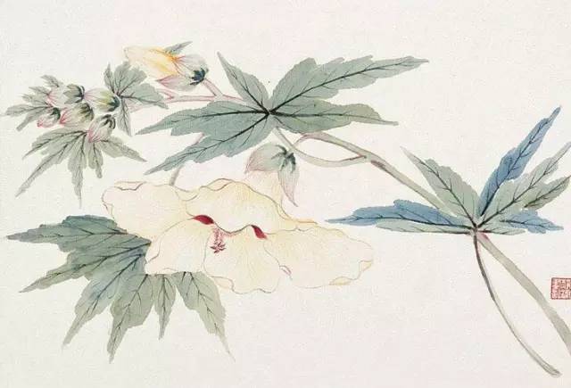 时隔六年蛮王再次登上赛场,观众调侃:这就孙大勇教练的大招?【三亿体育手机版】(图4) 三亿体育