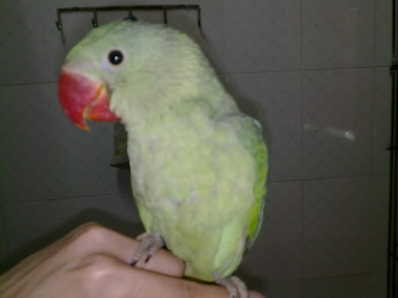 三亿体育手机版