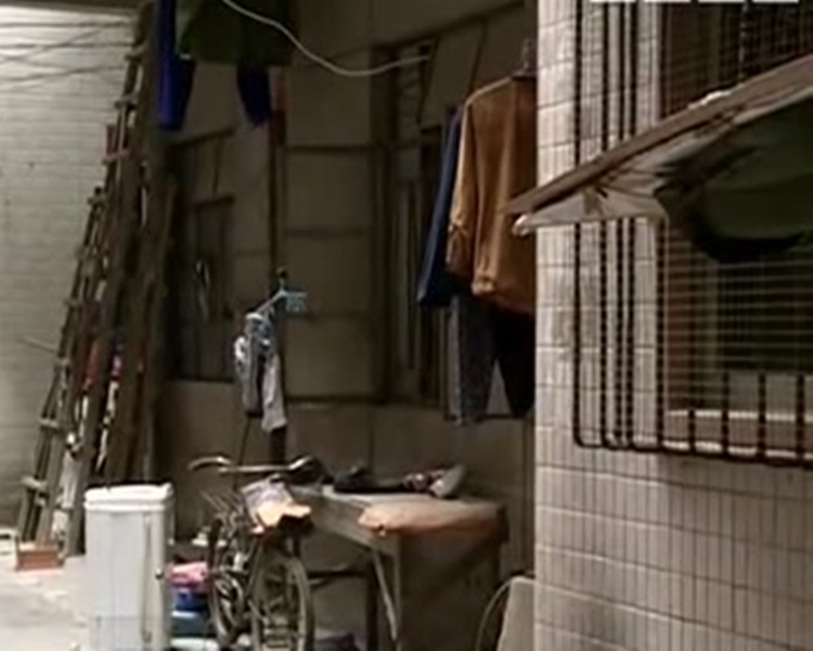 三亿体育手机版