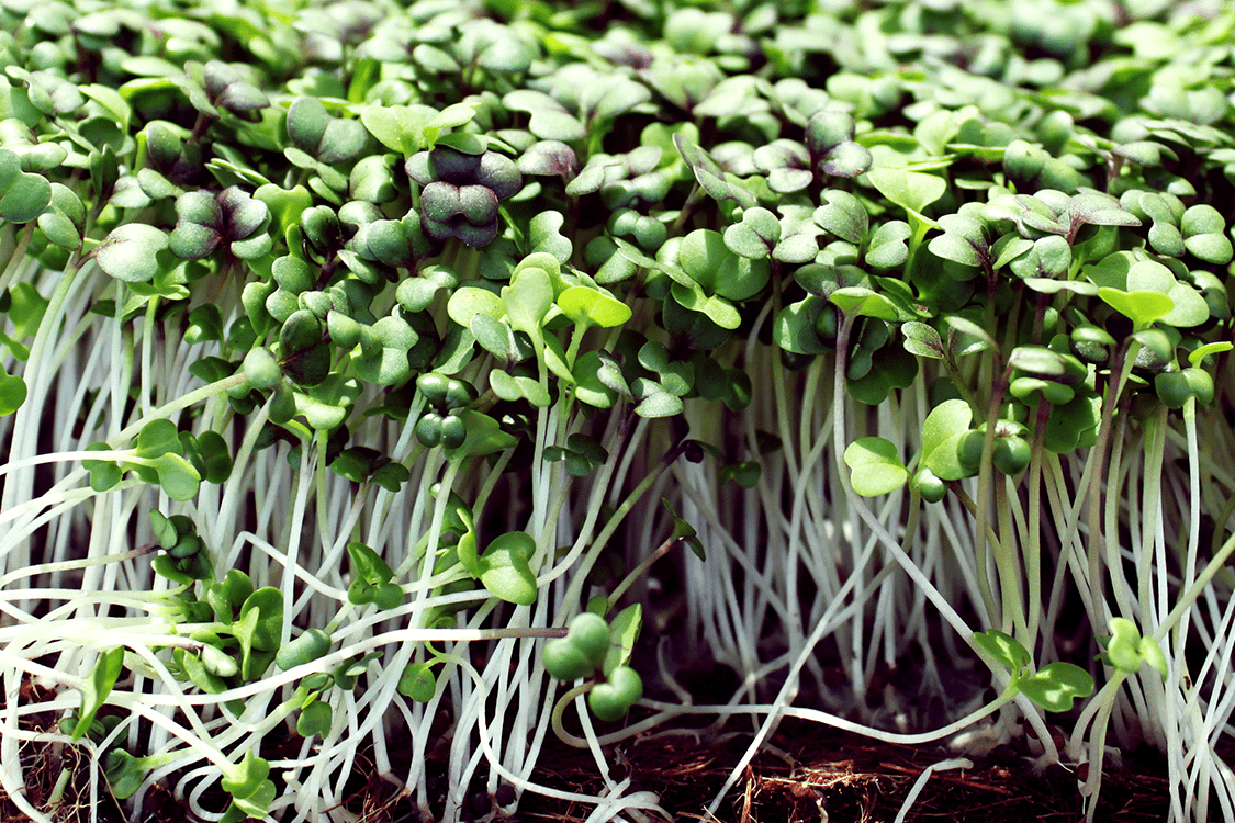 三亿体育手机版