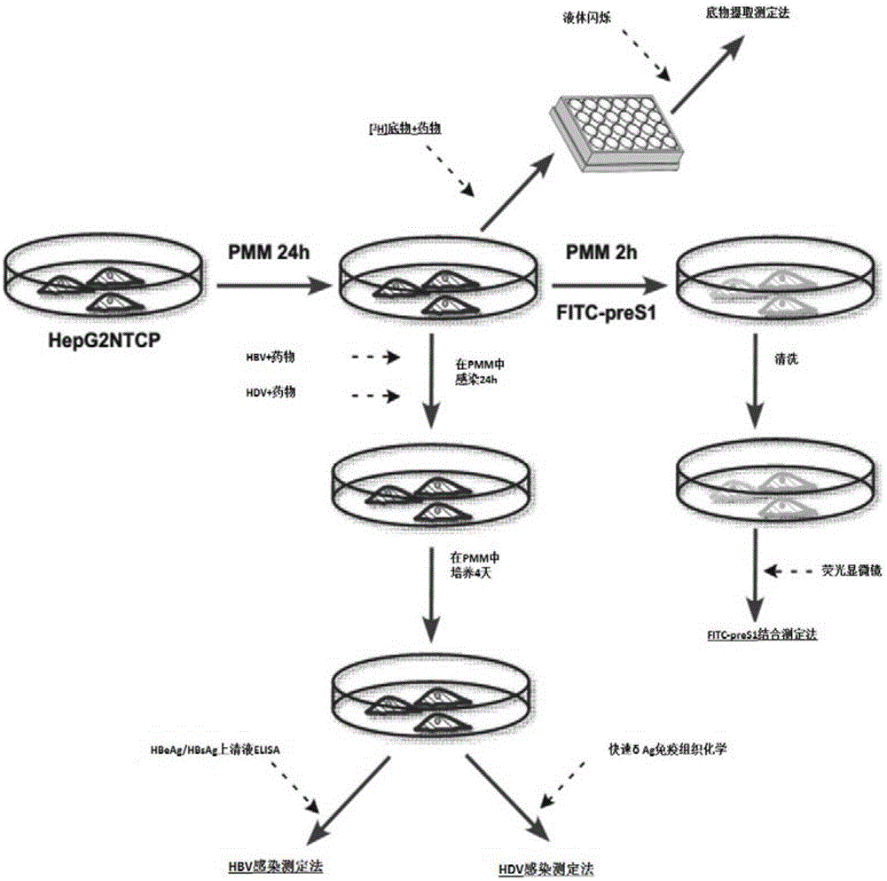 三亿体育手机版