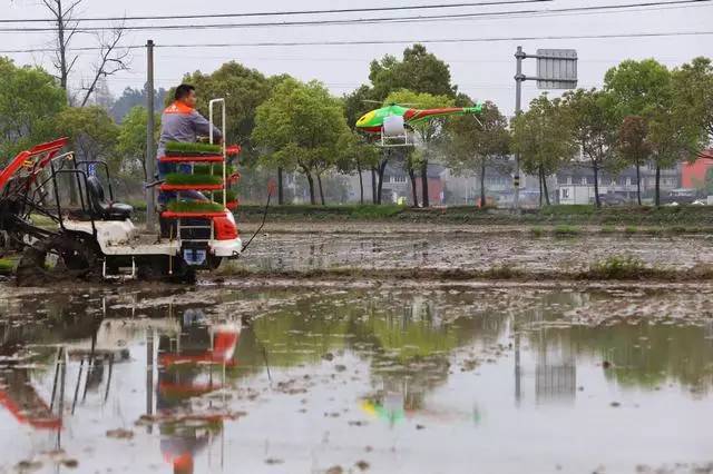 三亿体育手机版