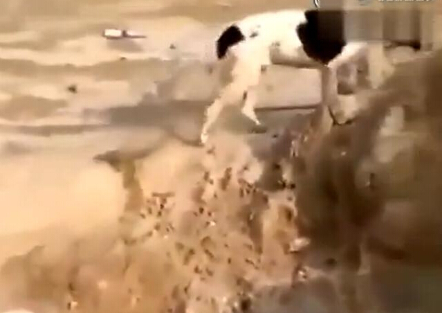 深圳智慧医疗建设的基本情况|三亿体育手机版(图1) 三亿体育手机版