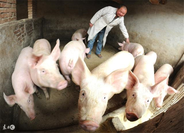 三亿体育手机版