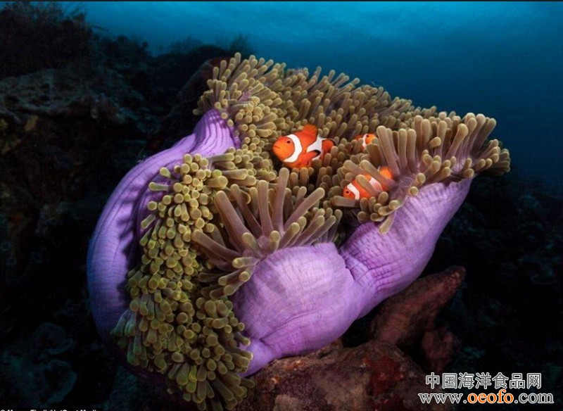 三亿体育_车联网和5G将碾压一些企业,也会成就一些企业(图2) 三亿体育官网