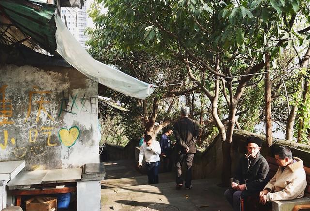 三亿体育手机版|上野携手团战发力 iG横扫LGD力保季后赛希望(图1) 三亿体育