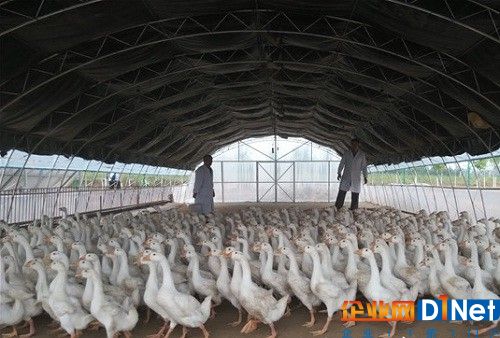 GRF宫斗戏继续 麦哥爆料JDG打野被签卖身契-三亿体育手机