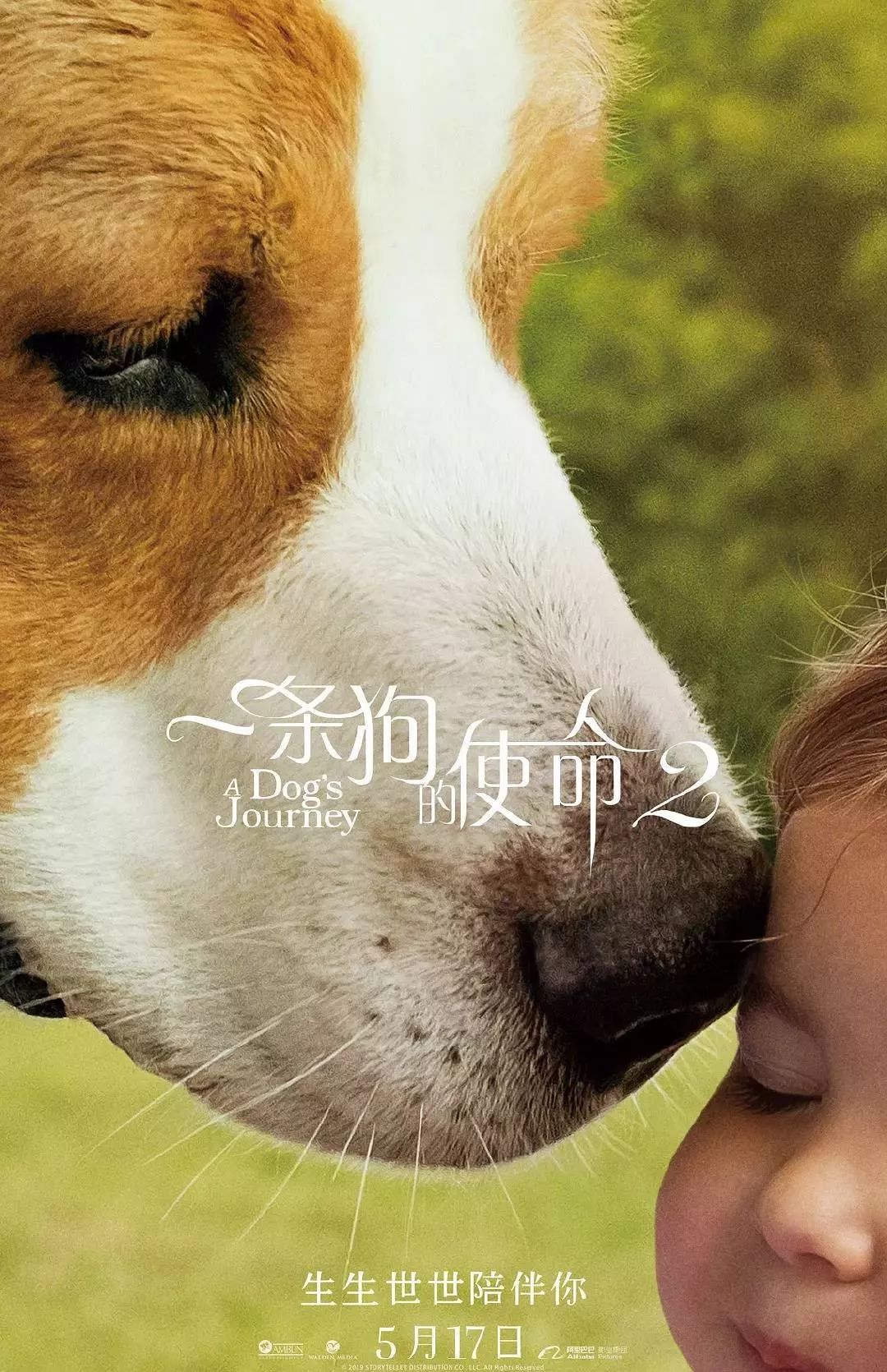 三亿体育手机版