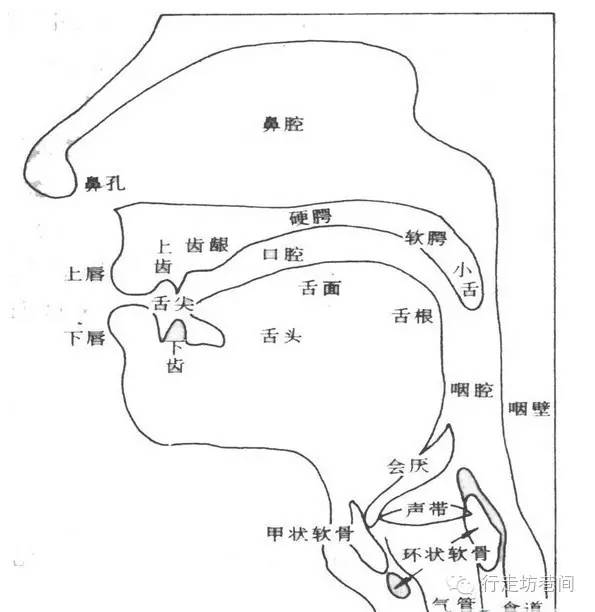 《全职高手》第十集:叶修VS喻文州之战——“玩战术的心真脏”_三亿体育(图3) 三亿体育